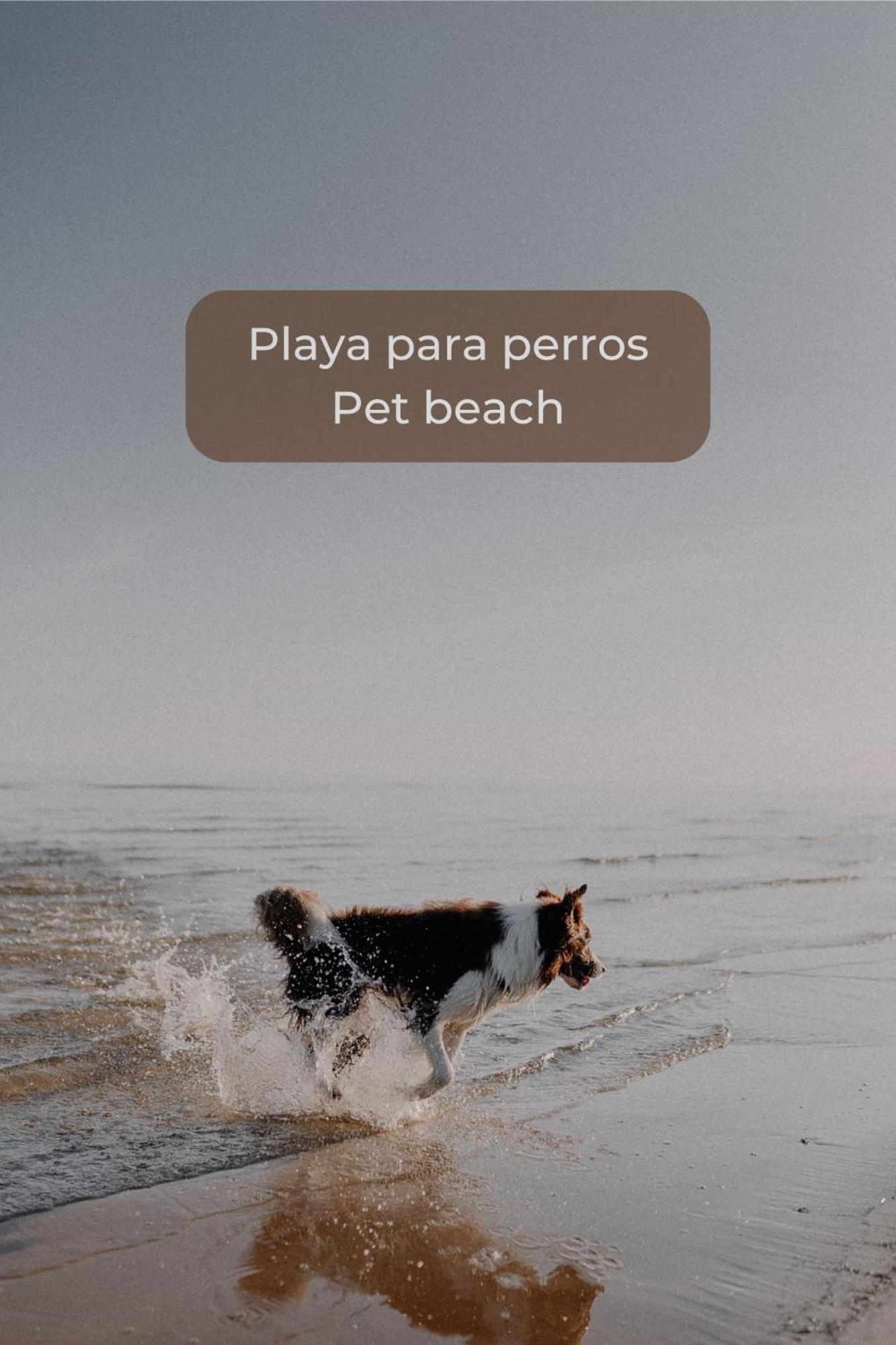 Canelita Con Piscina, Soleada Terraza Amplia Wifi Y Parking Corralejo Exterior foto